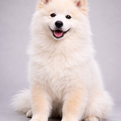 Cloud — real photo